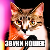 Звуки кошек