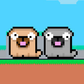 Friends Pug