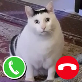 Позвони озорным котикам